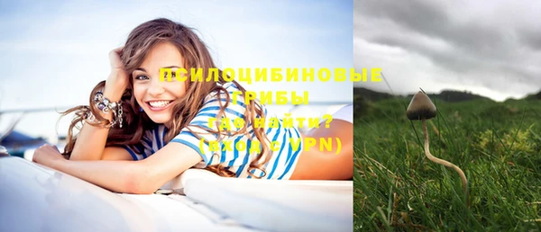 прущие крисы Абаза