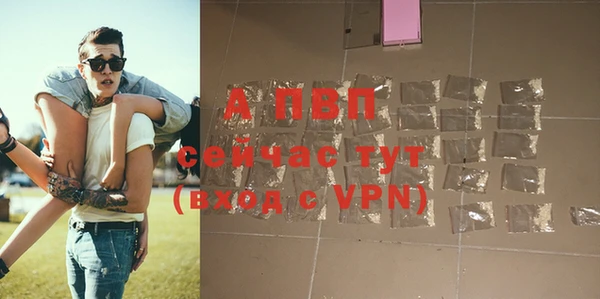 прущие крисы Абаза