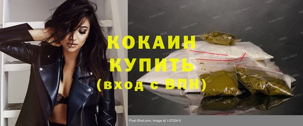 прущие крисы Абаза