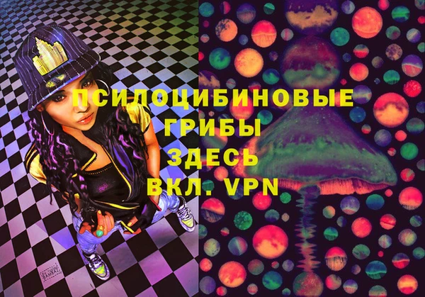 spice Абинск