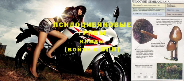 spice Абинск
