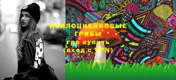 прущие крисы Абаза