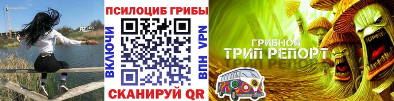 Псилоцибиновые грибы прущие грибы  Хадыженск 